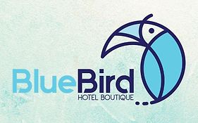 Blue Bird